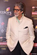 Amitabh Bachchan at Screen Awards red carpet in Mumbai on 12th Jan 2013 (456).JPG